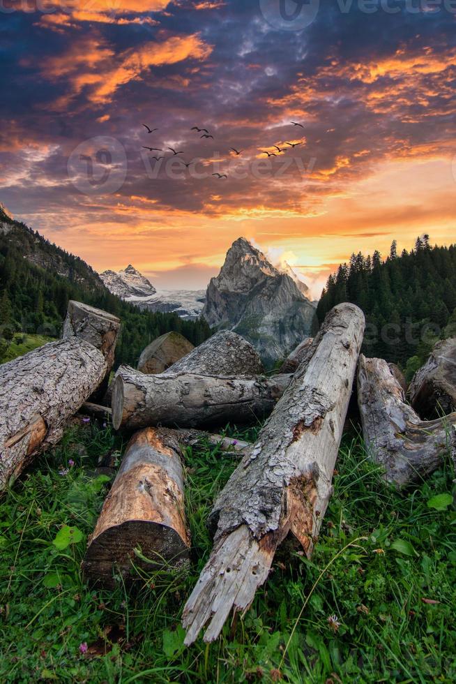 natuur tafereel Bij zonsondergang met hout in voorgrond foto