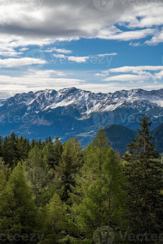 visie van de Zwitsers Alpen en naald- bomen foto