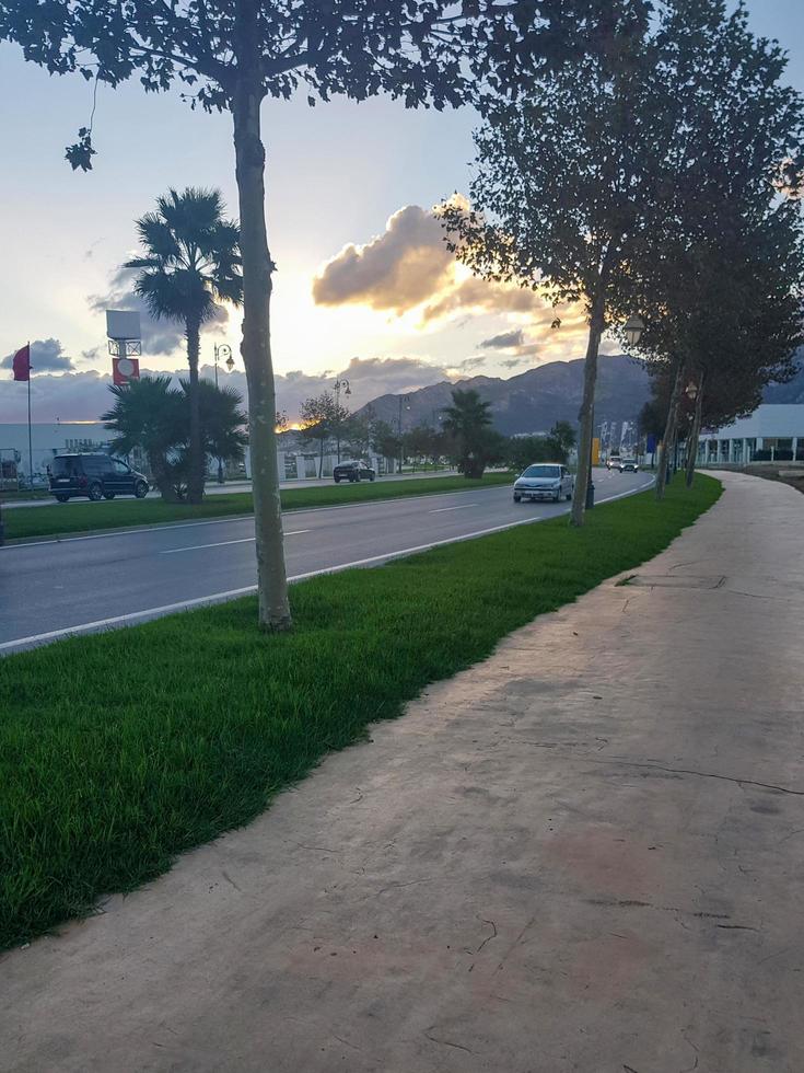 lief vooravond voor een wandelen naast stad- foto