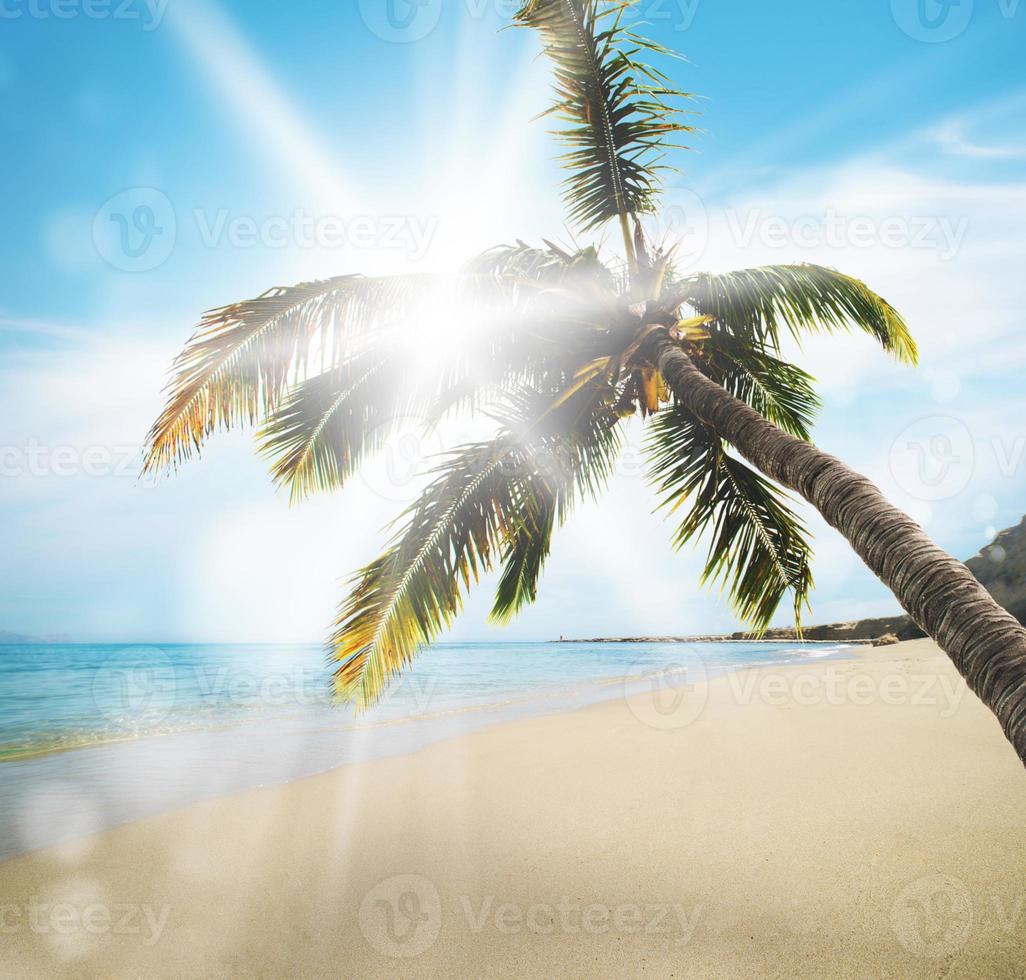 tropisch strand visie foto