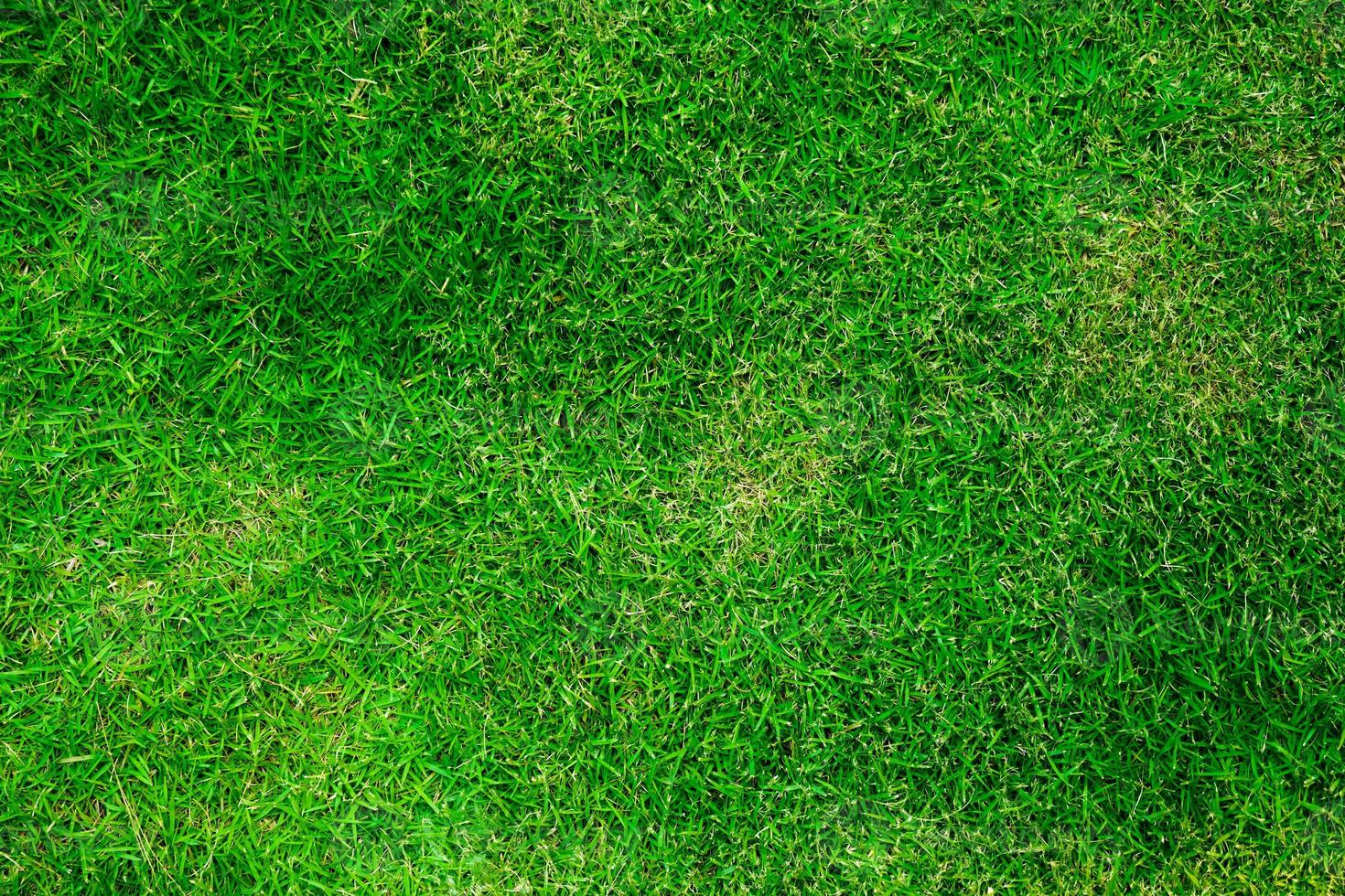 natuurlijk groen gras textuur. perfect golf of Amerikaans voetbal veld- achtergrond. top bekijk2 foto