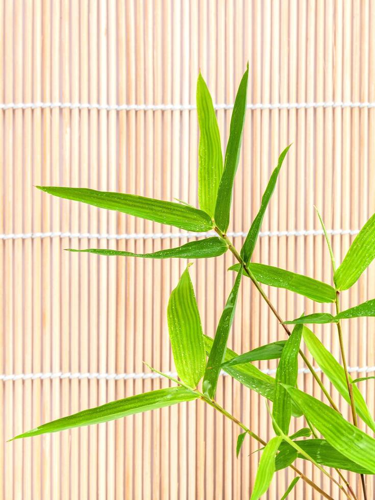 verse bamboe tegen een bamboemat foto