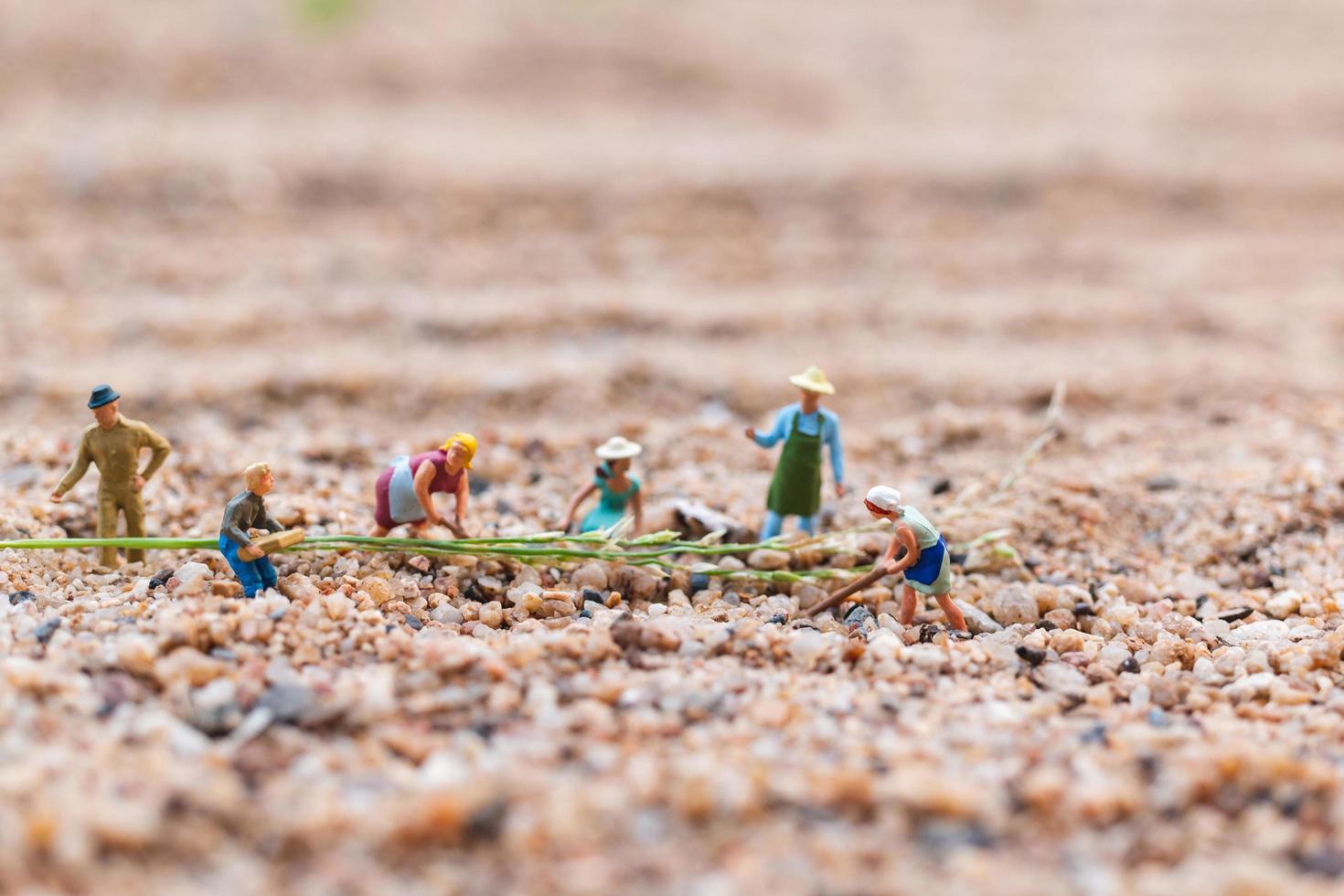 miniatuurboeren die op een perceel in de woestijn, landbouwconcept werken foto
