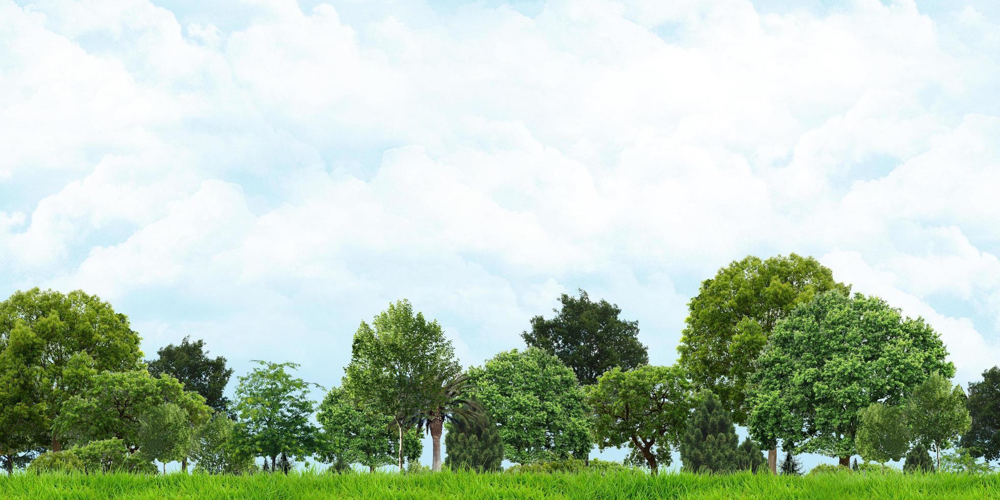 3D-afbeelding van gras en bomen met uitzicht op bewolkte luchten foto