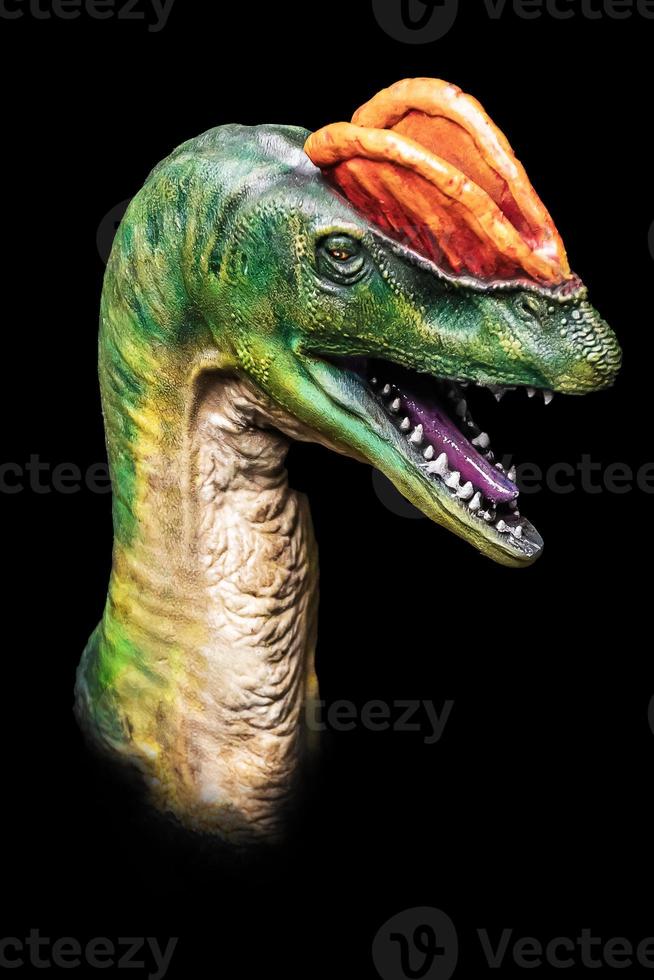 de hoofd van dilophosaurus in de donker , dinosaurus Aan zwart achtergrond foto