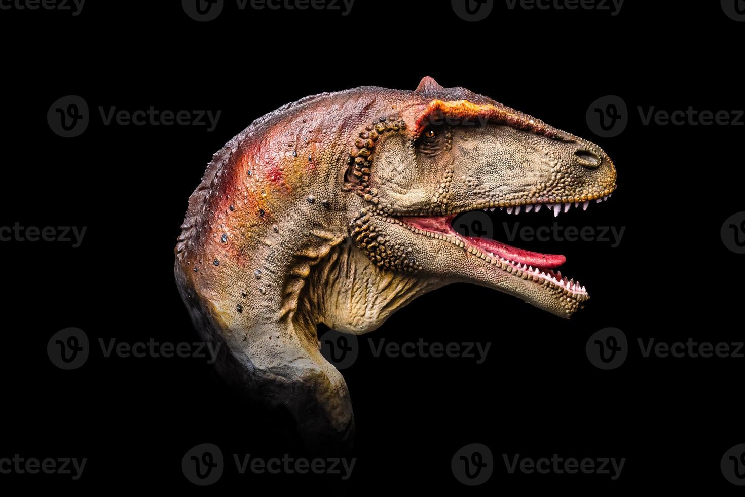 de hoofd van carcharodontosaurus in de donker , dinosaurus Aan zwart achtergrond foto