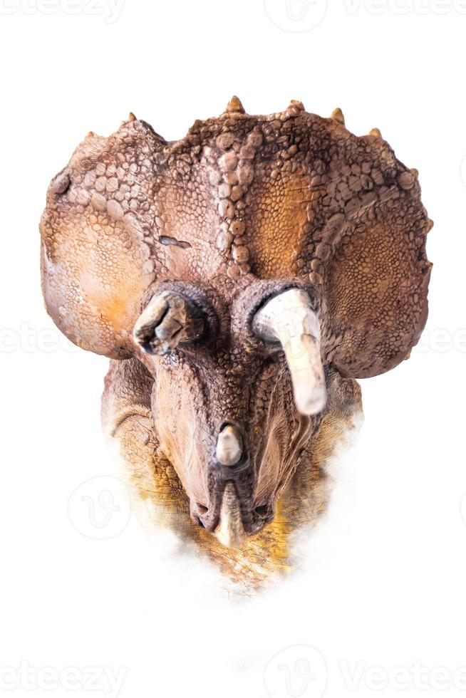 de hoofd van triceratops , dinosaurus Aan geïsoleerd achtergrond foto