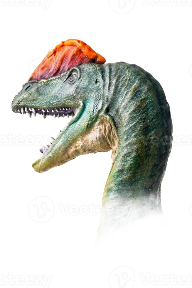 de hoofd van dilophosaurus , dinosaurus Aan geïsoleerd achtergrond . foto