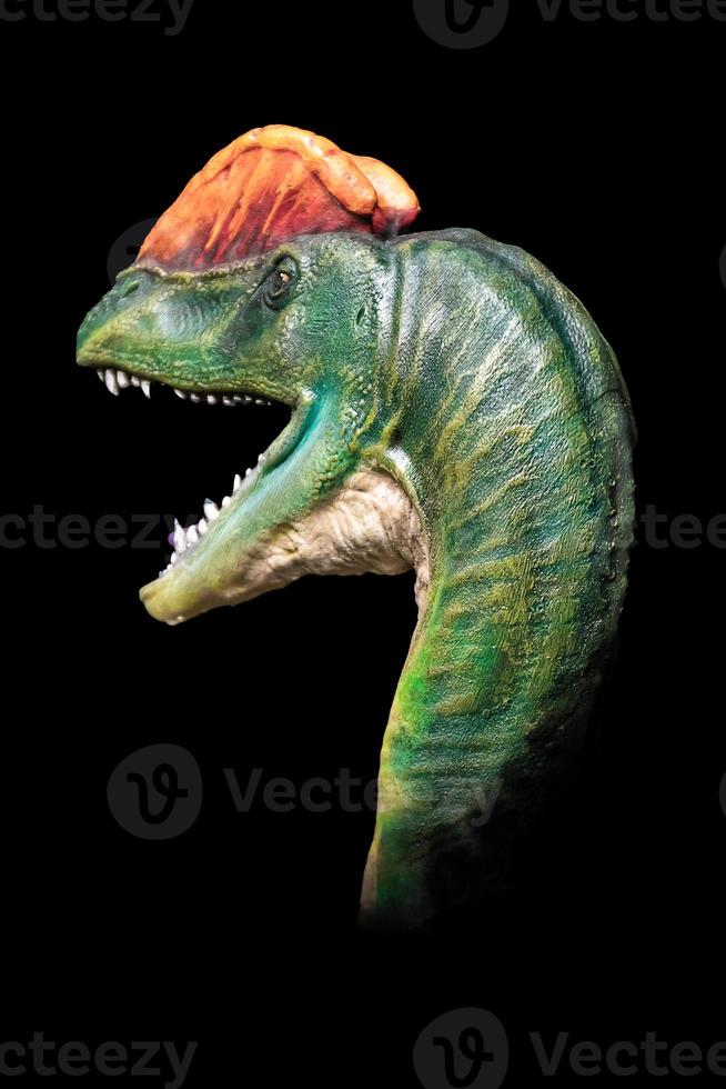 de hoofd van dilophosaurus in de donker , dinosaurus Aan zwart achtergrond foto