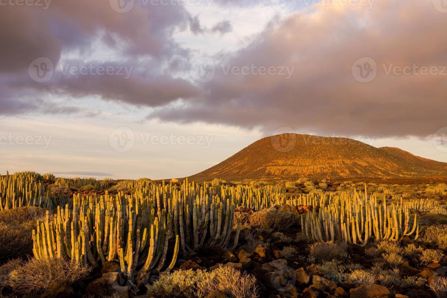 schilderachtige berglandschap foto