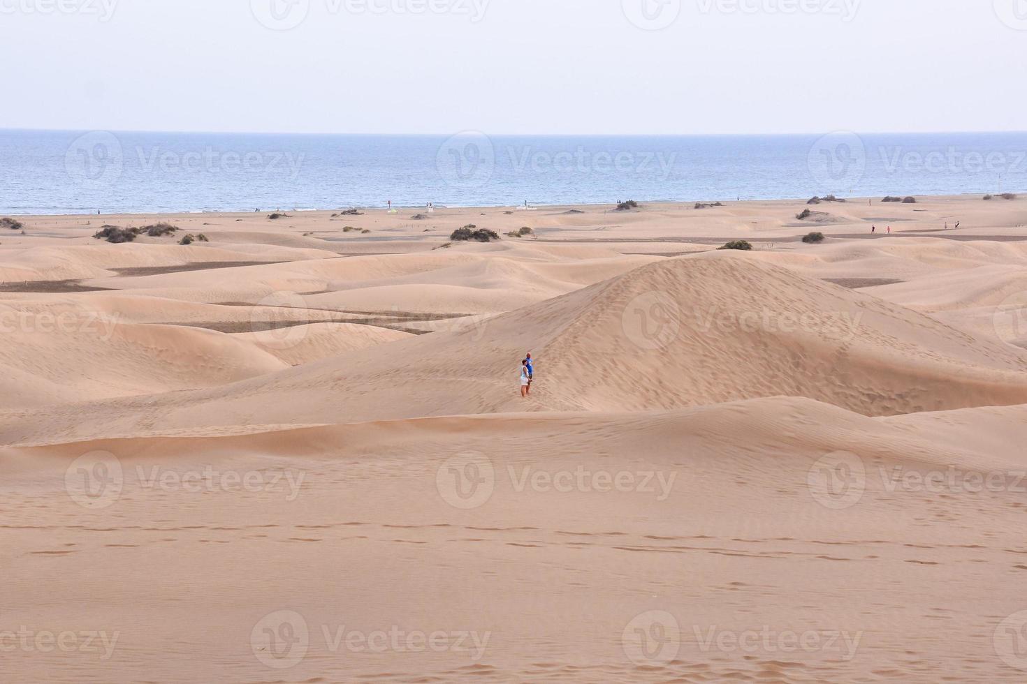 toneel- woestijn landschap foto