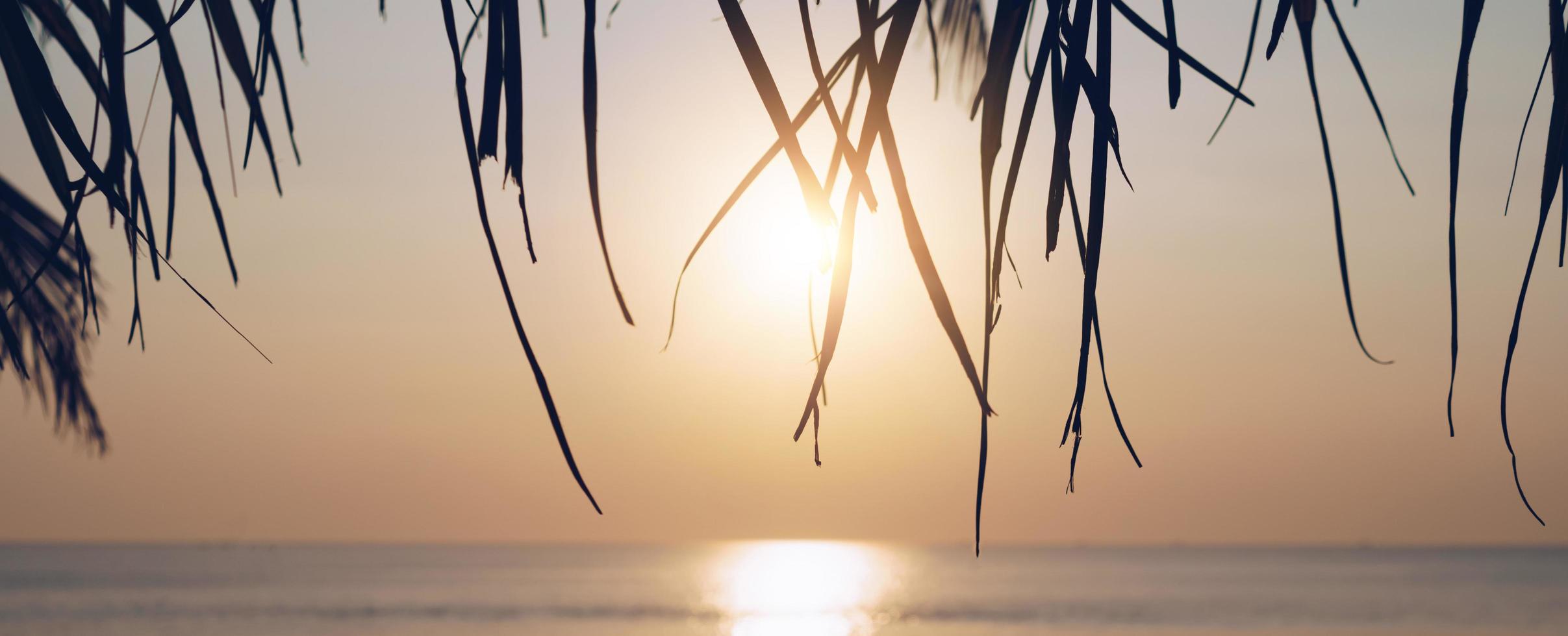 tropische natuur strand zonsondergang foto