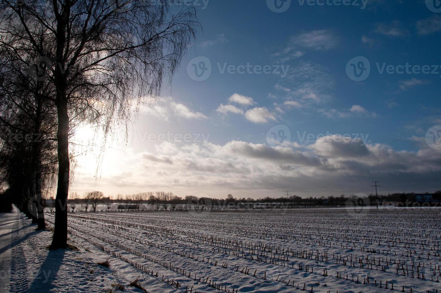 winter tijd in Westfalen foto