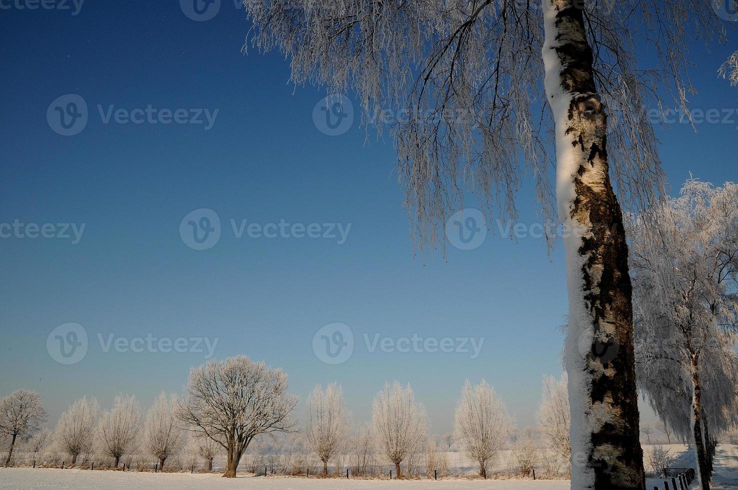 winter tijd in Westfalen foto