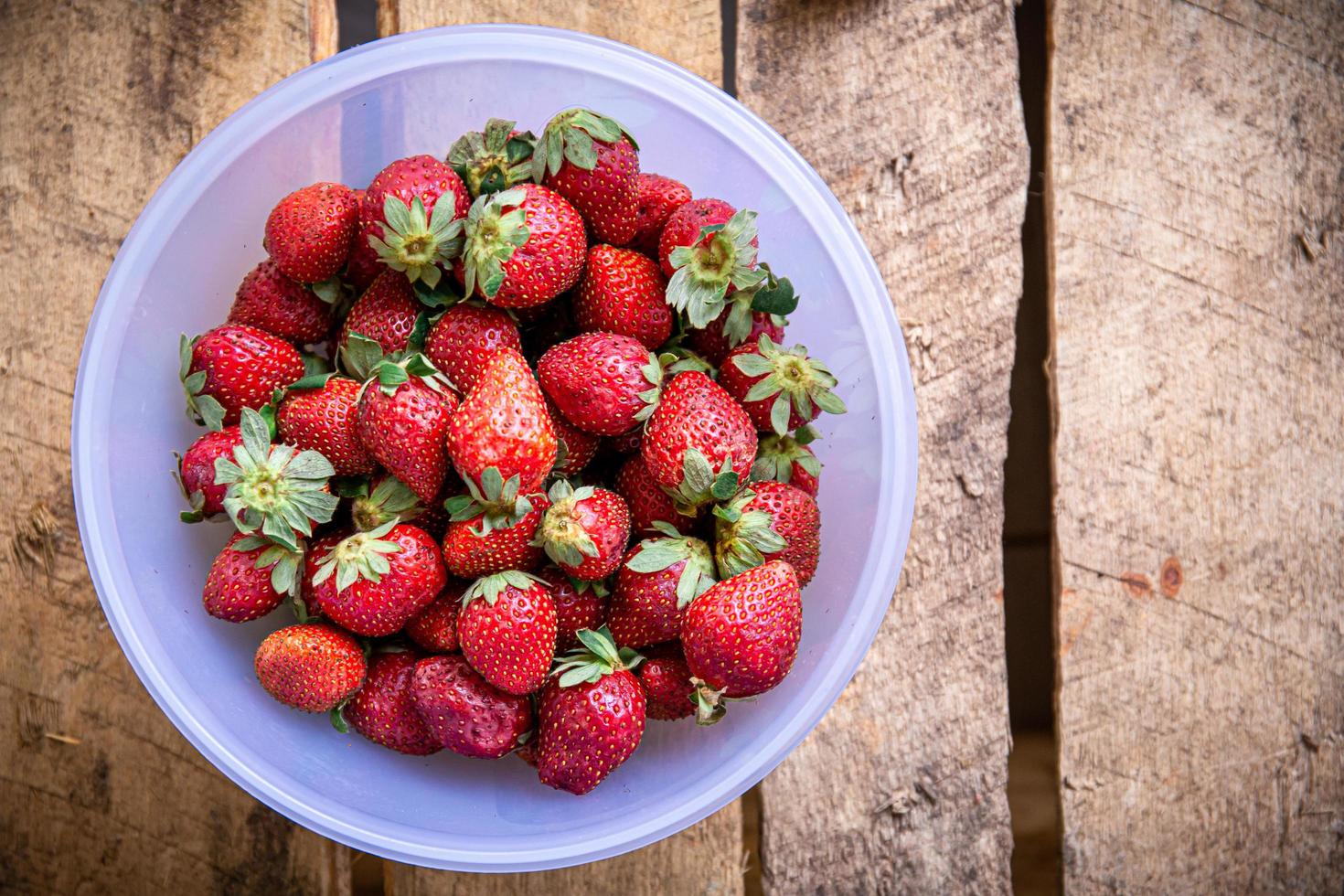 aardbeien in een plastic kom foto