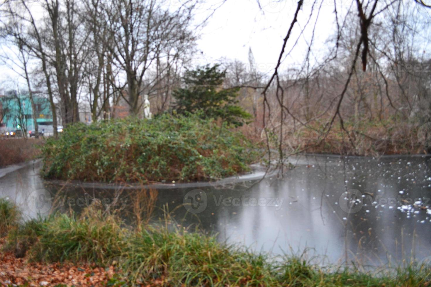 vijver in een park met rimpelingen en reflecties foto