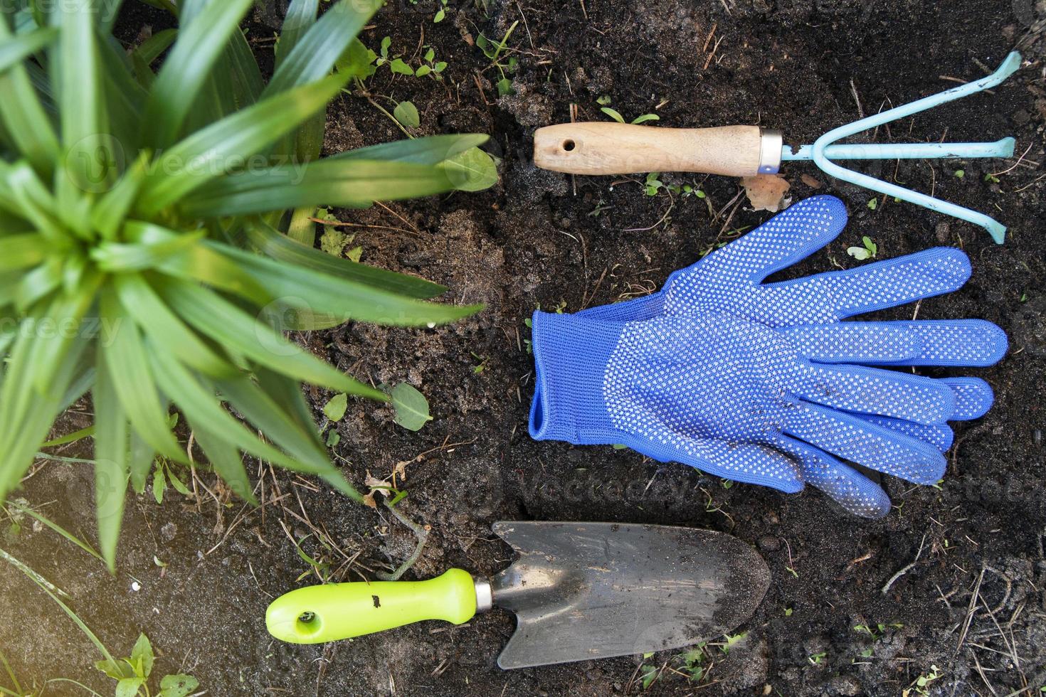 tuin handschoenen en tuin gereedschap foto