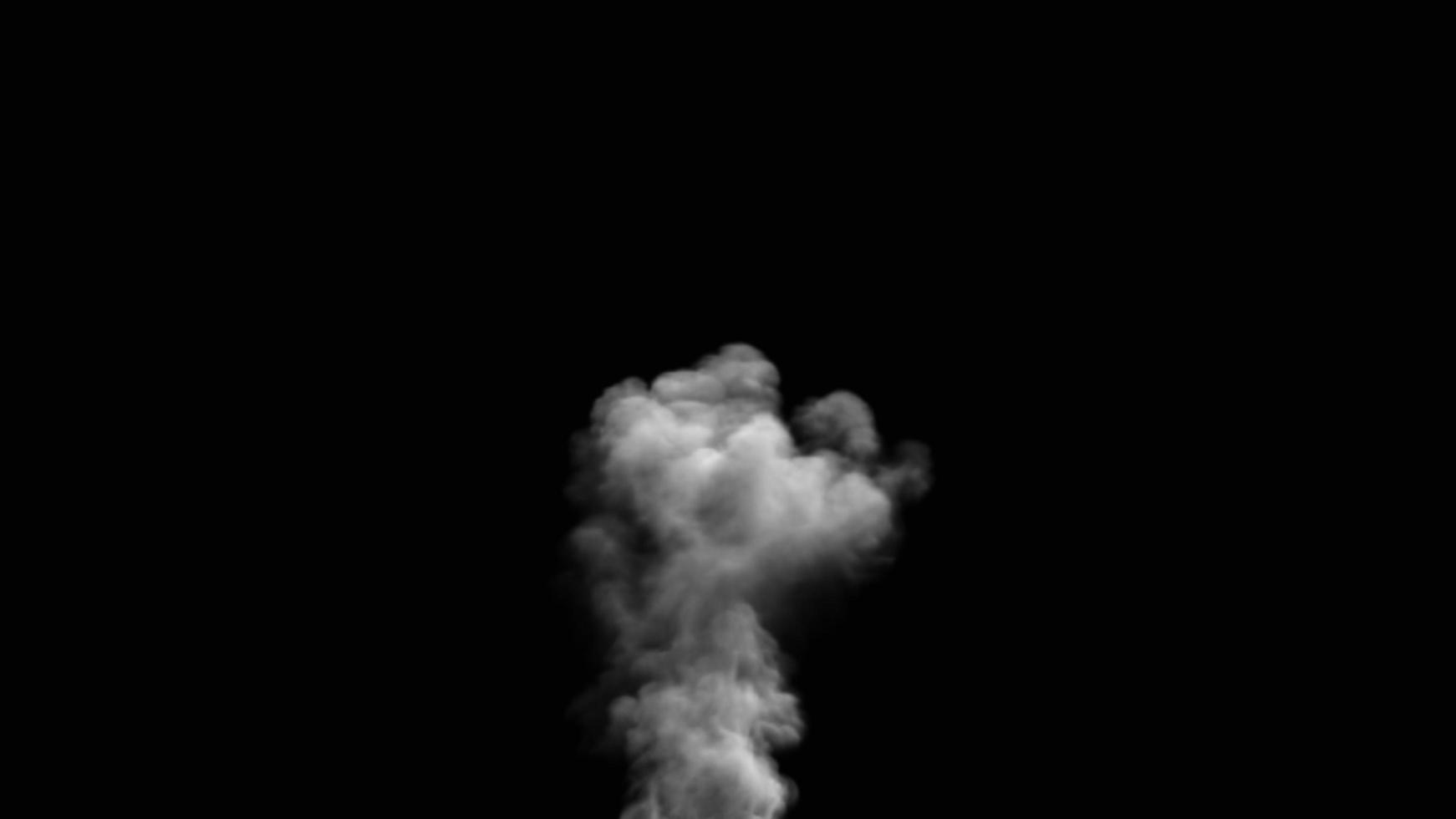 rook op een zwarte achtergrond foto