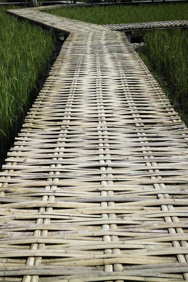 loopbrug in een rijstveld foto