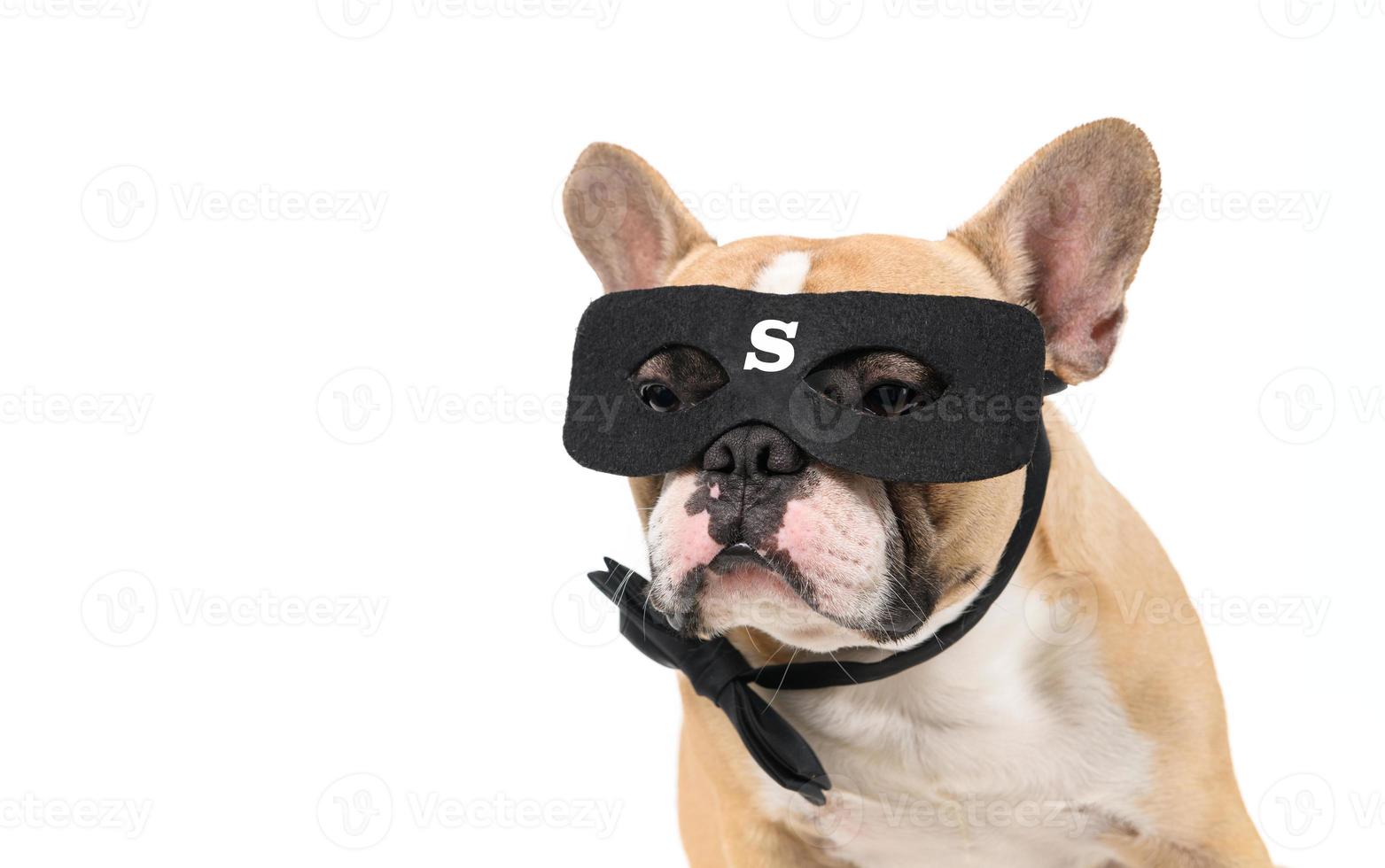 Frans bulldog slijtage super held masker geïsoleerd Aan wit achtergrond, foto