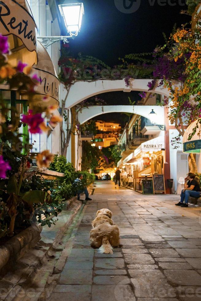 versmallen steeg met huizen en restaurant Aan beide kant gedurende 's nachts foto