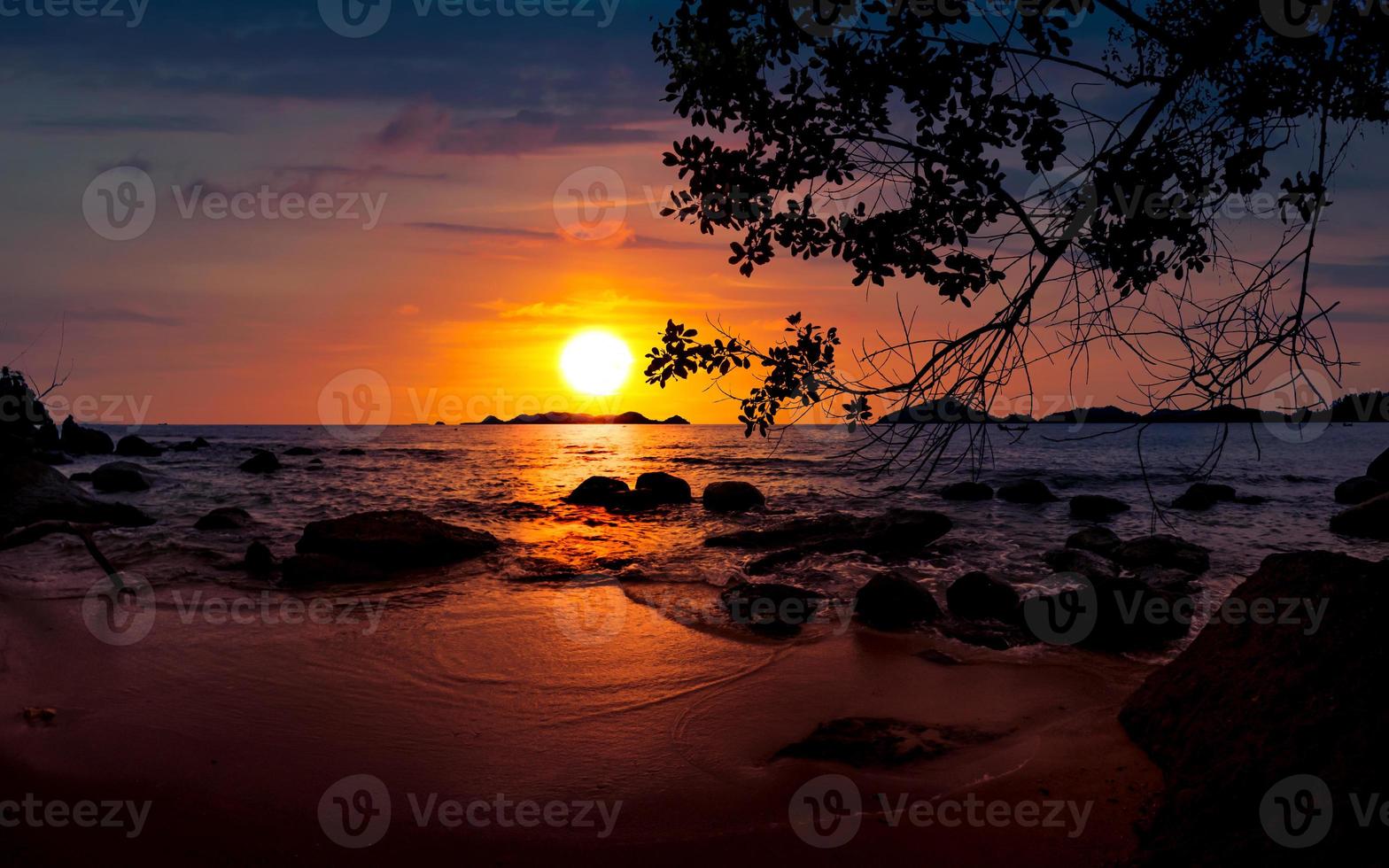 dramatisch zonsondergang Bij strand met een boom en rotsen foto