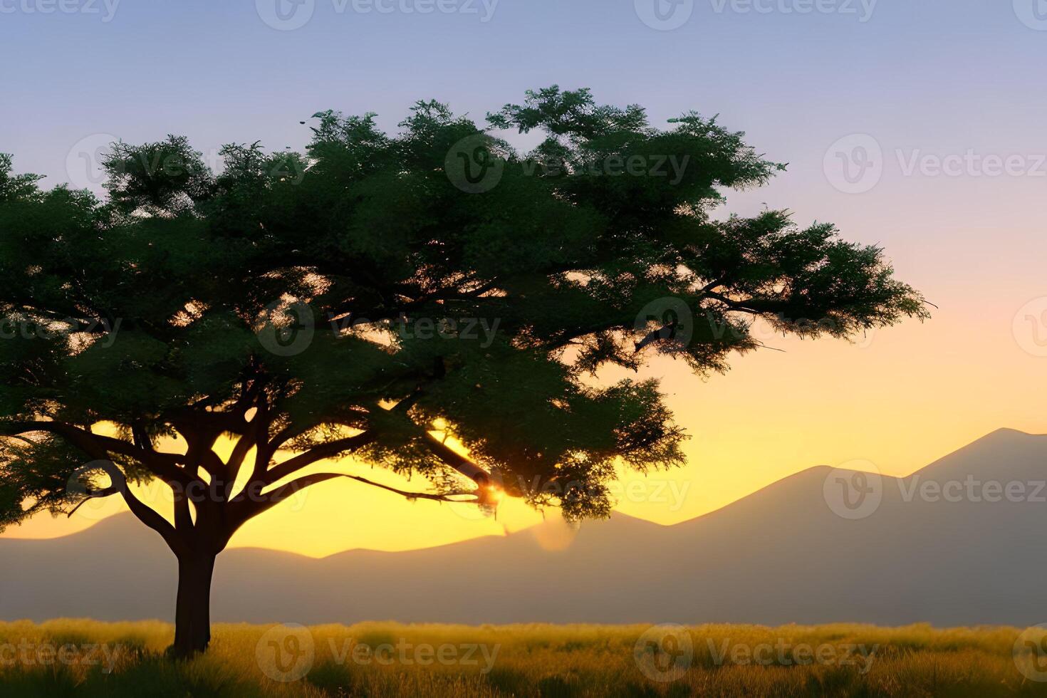 silhouet van acacia bomen Bij een dramatisch zonsondergang in Afrika. foto