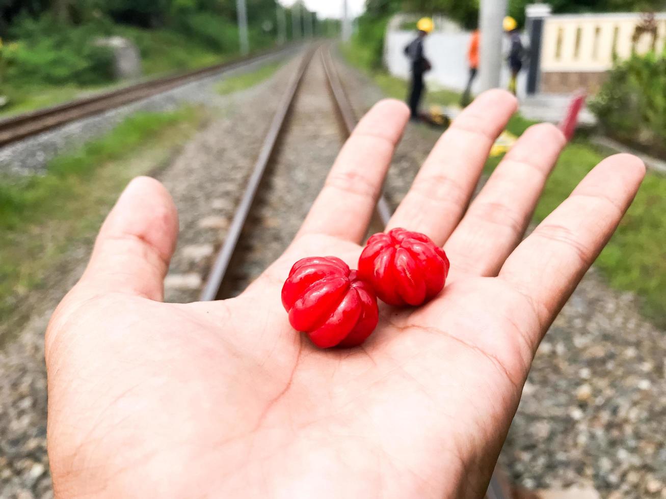 de nu al rood kerrie fruit is in de palm van de hand- met de achtergrond in de midden- van de wazig spoorweg sporen foto