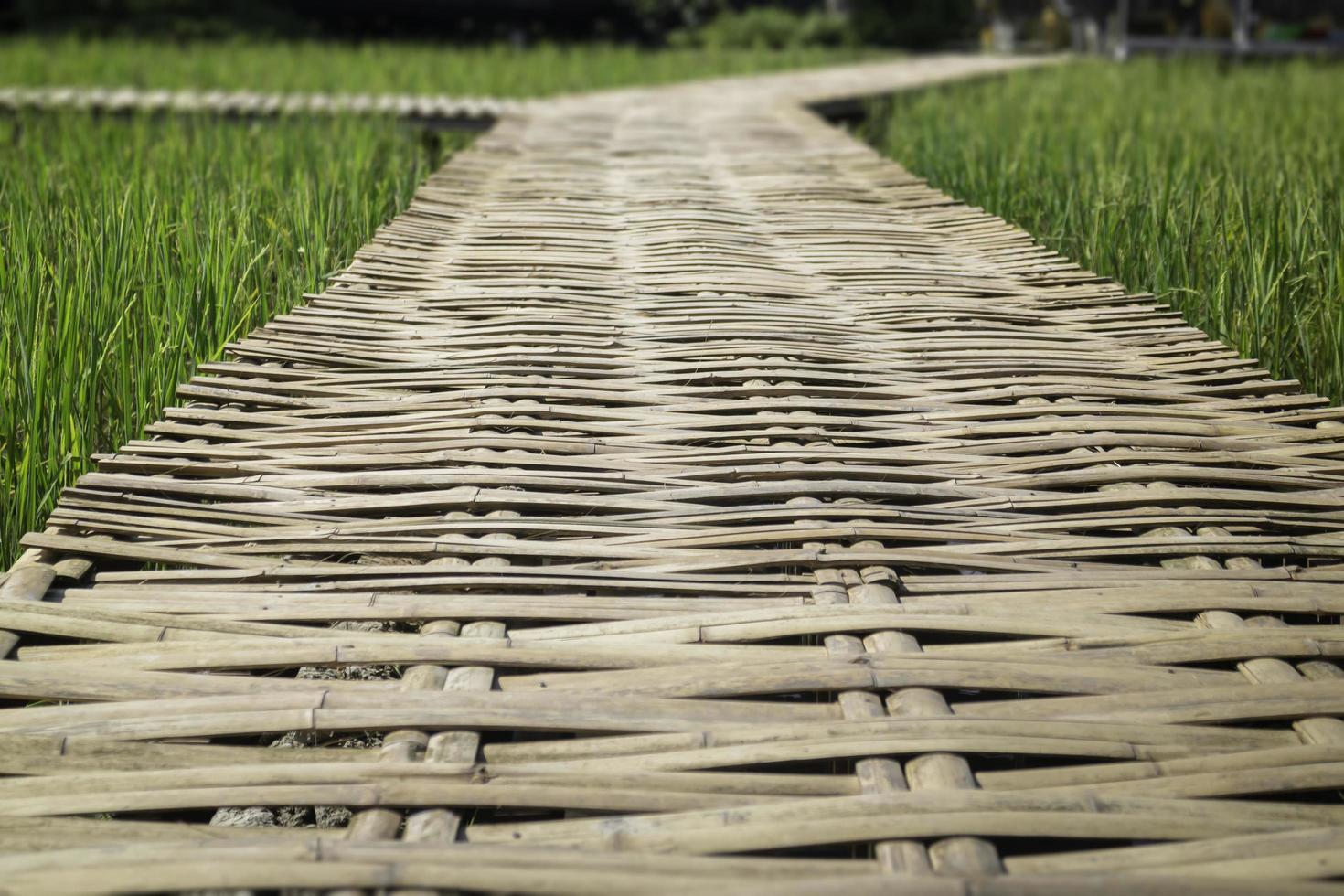 eenvoudige loopbrug in de zomer rijstveld foto