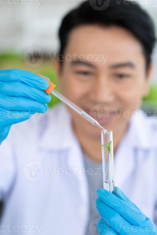 wetenschapper aan het doen experiment in landbouw laboratorium naar ontwikkelen genetisch wijziging gewassen foto