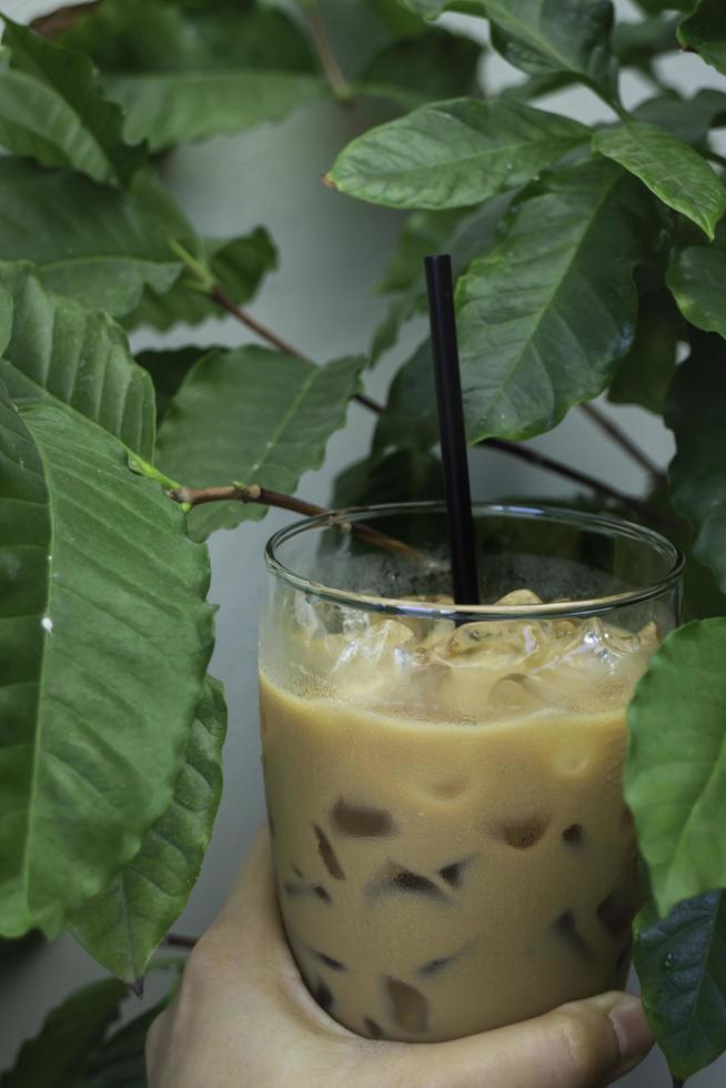 ijskoude melk koffie drinken foto