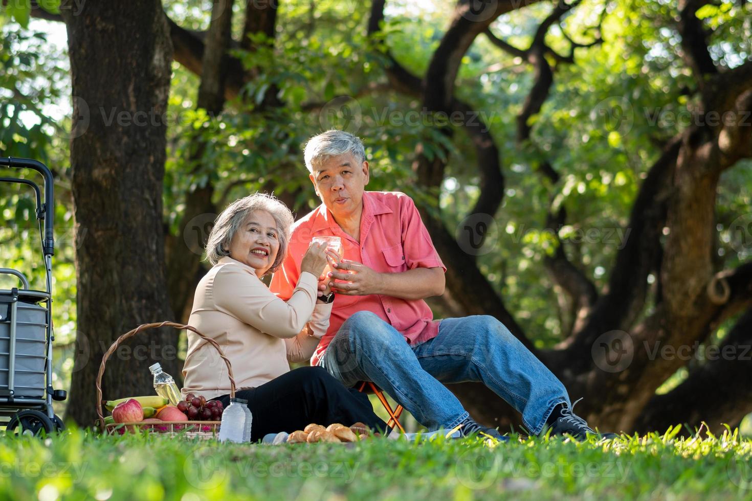 gelukkige oude bejaarde echtpaar echtgenoten ontspannen en zittend op een deken in het park en enkele kostbare herinneringen delen. senior paar hebben geweldige tijd samen op een picknick. concept van volwassen relaties foto