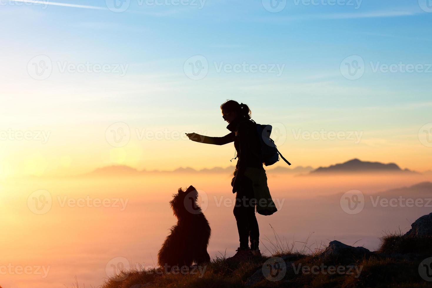 meisje speelt met haar hond in de bergen foto