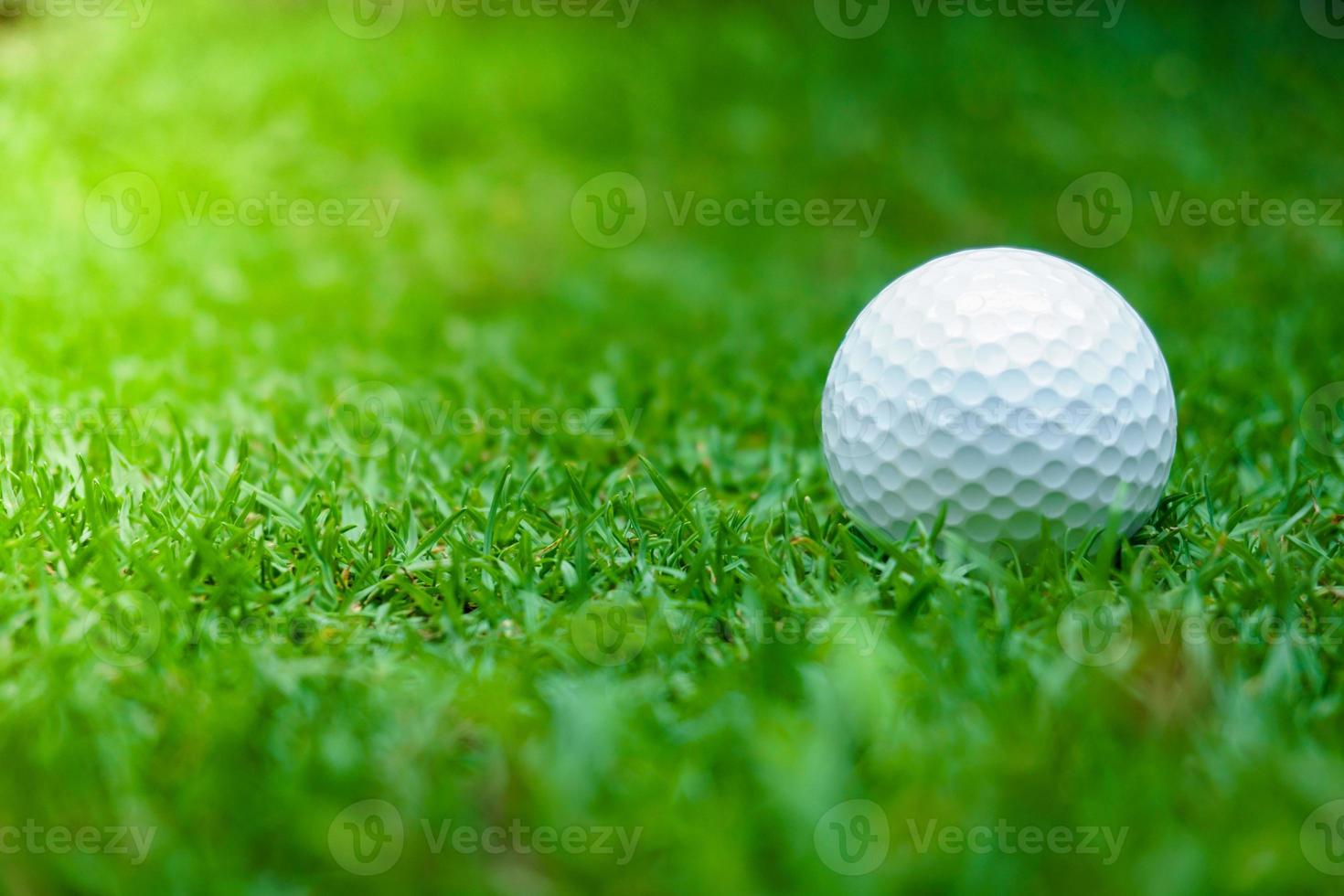 groen gras met golf bal detailopname in zacht focus Bij zonlicht. sport speelplaats voor golf club concept foto