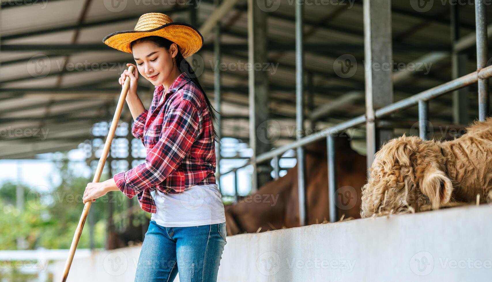 portret van gelukkig jong Aziatisch boer vrouw vegen verdieping Bij koe boerderij. landbouw industrie, landbouw, mensen, technologie en dier veeteelt concept. foto