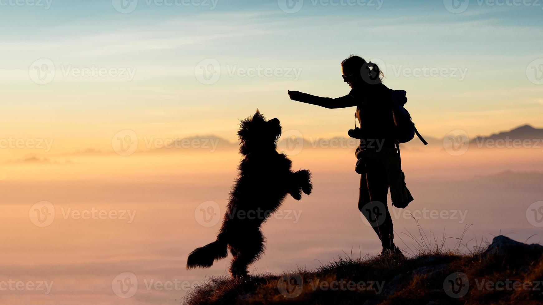 meisje geeft eten aan haar hond in de bergen foto