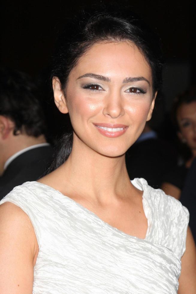 los angeles nov 16 nazanin boniadi arriveert Bij de De volgende drie dagen la première Bij bestuurders gilde van Amerika Aan november 16 2010 in los angeles ca foto