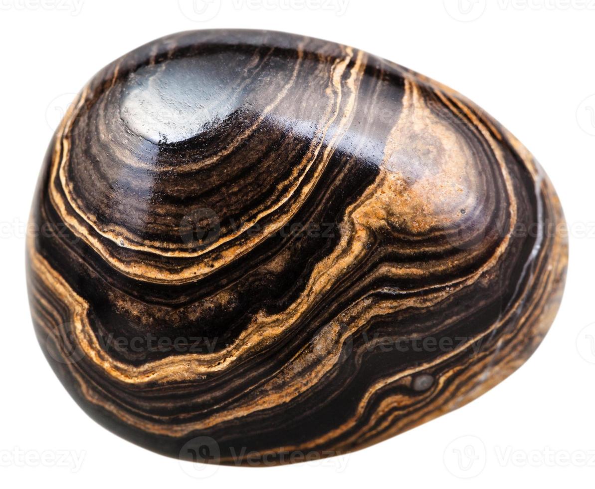 cabochon van stromatoliet edelsteen geïsoleerd foto
