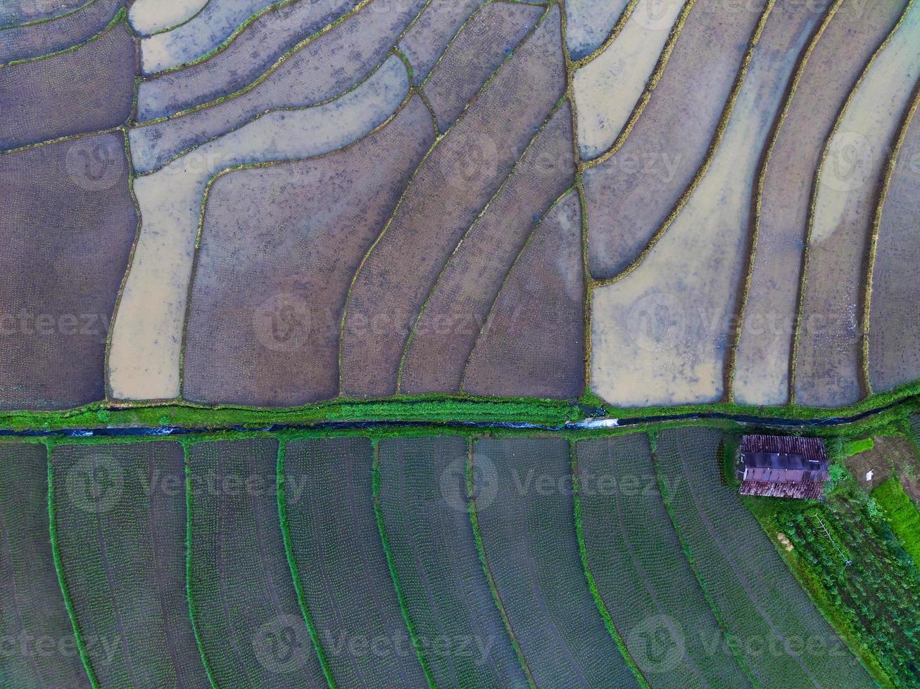 mooi ochtend- visie Indonesië panorama landschap rijstveld velden met schoonheid kleur en lucht natuurlijk licht foto