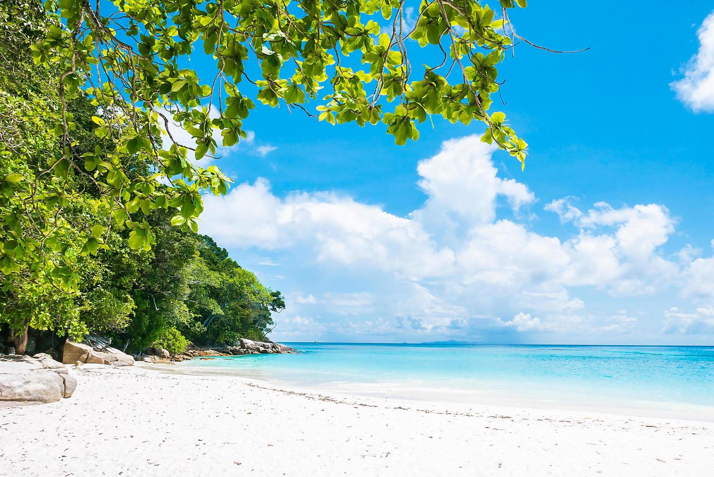 prachtige tropische strand achtergrond foto