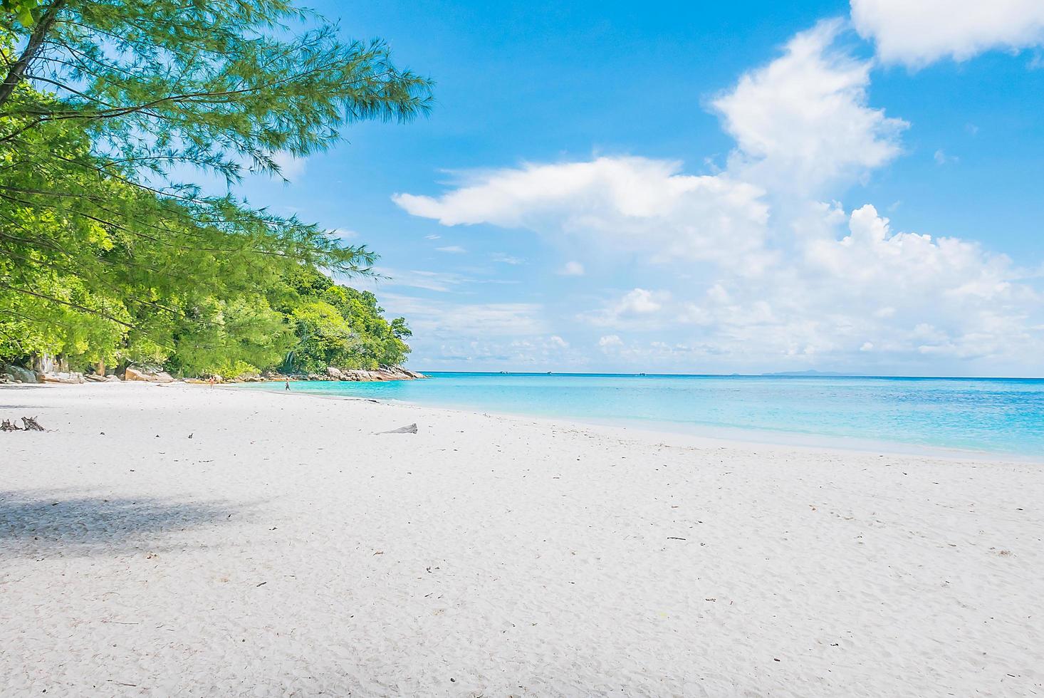 prachtige tropische strand achtergrond foto