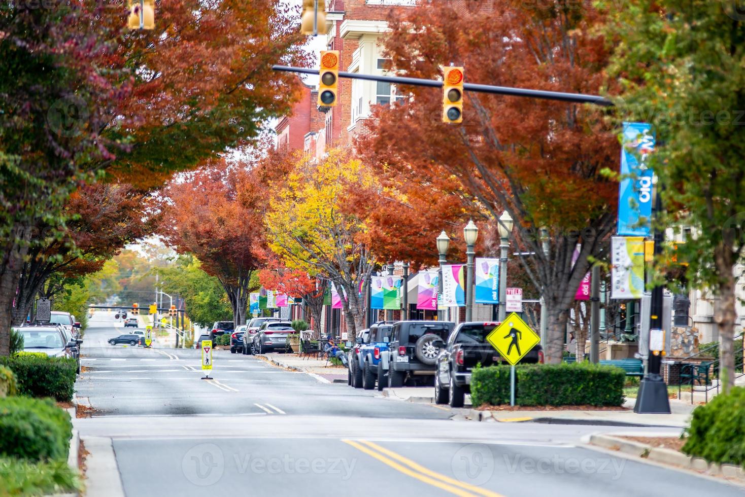 rots heuvel zuiden carolina downtown herfst seizoen foto