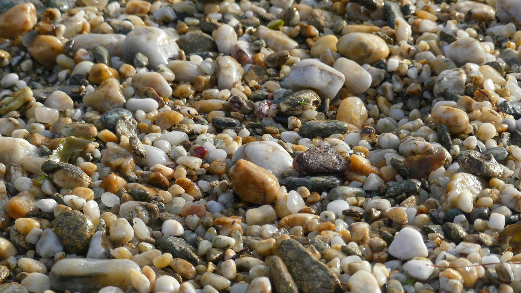 kiezelstenen op een kust foto