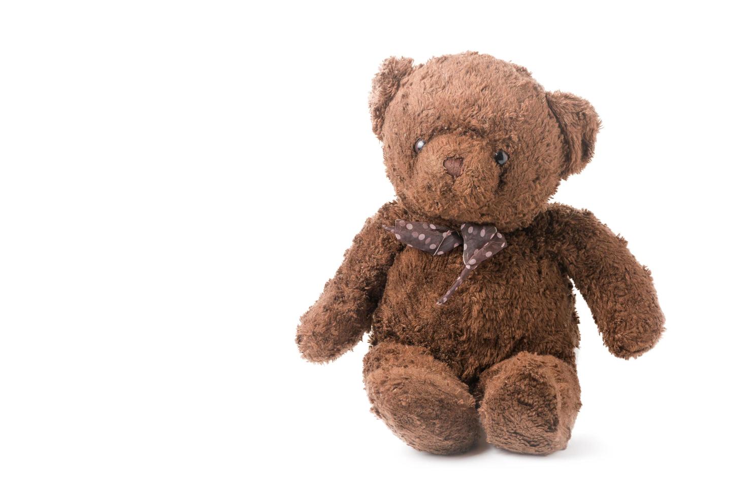 schattig bruin teddy beer geïsoleerd foto