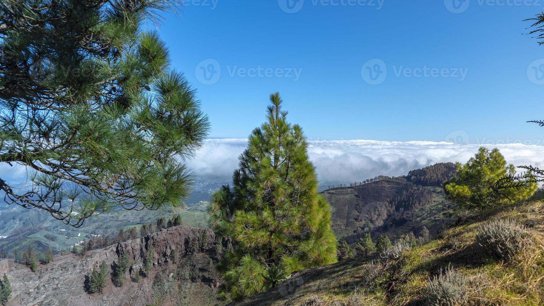 bergen van het eiland gran canaria foto