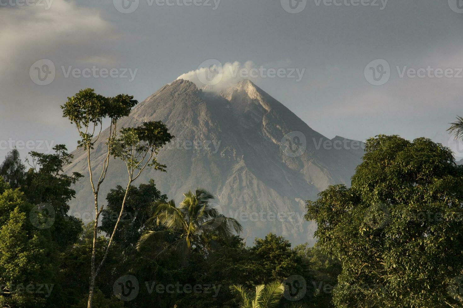 uitzicht op merapi berg boven de bomen foto