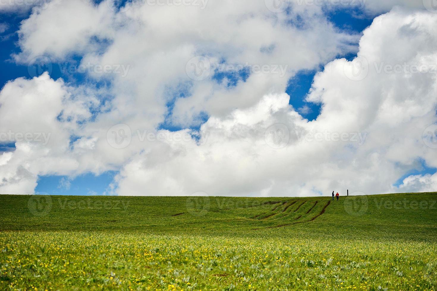 de eindeloos, groen kalajun prairie in xinjiang foto