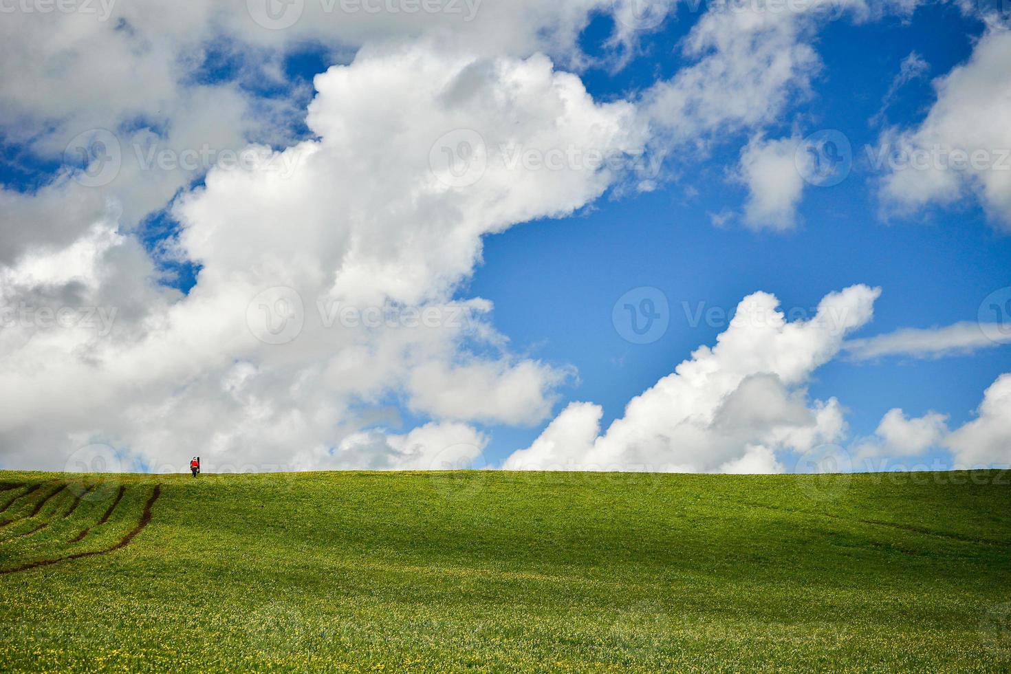 de eindeloos, groen kalajun prairie in xinjiang foto