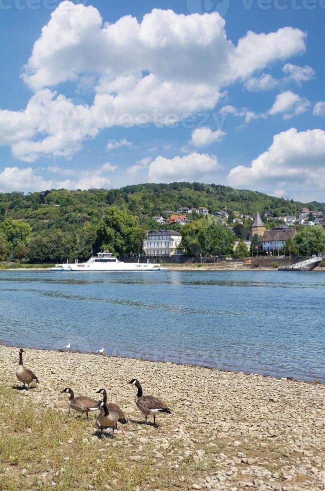 linz ben Rhein Bij Rijn rivier, duitsland foto