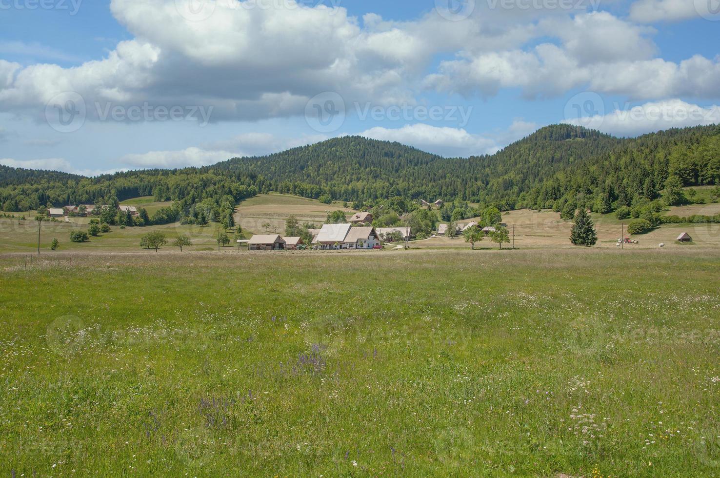 landschap en dorp Aan pokljuka plateau, triglav nationaal park, slovenië foto